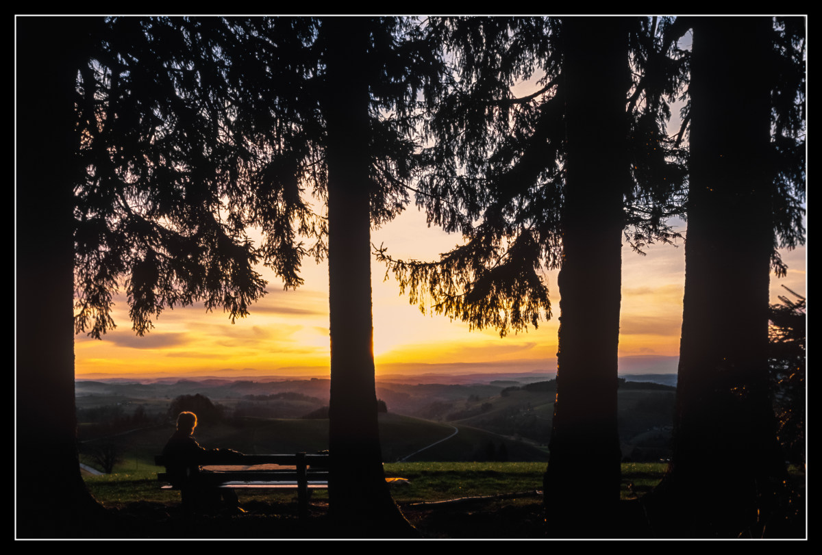 Evening